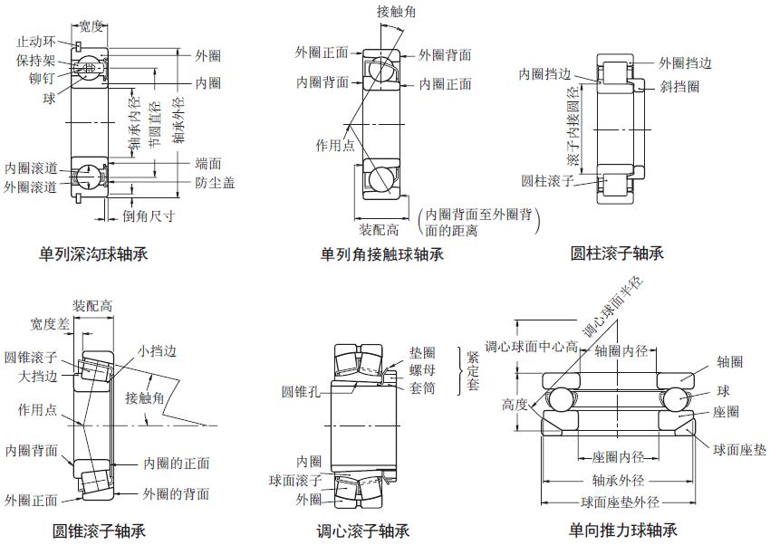 NSK滾動軸承的類型及軸承各部分圖示.jpg NSK滾動軸承的類型及軸承各部分圖示.jpg